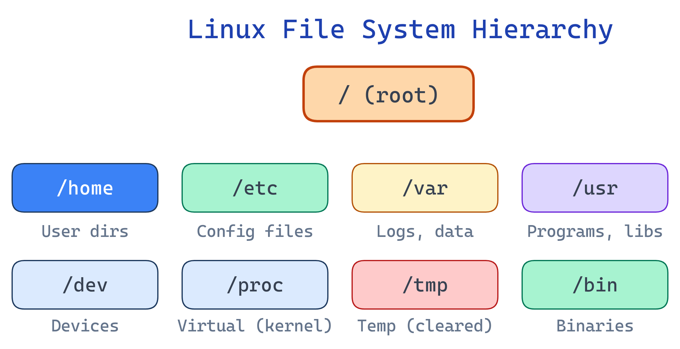 Linux file system hierarchy showing root directory and key subdirectories with their purposes