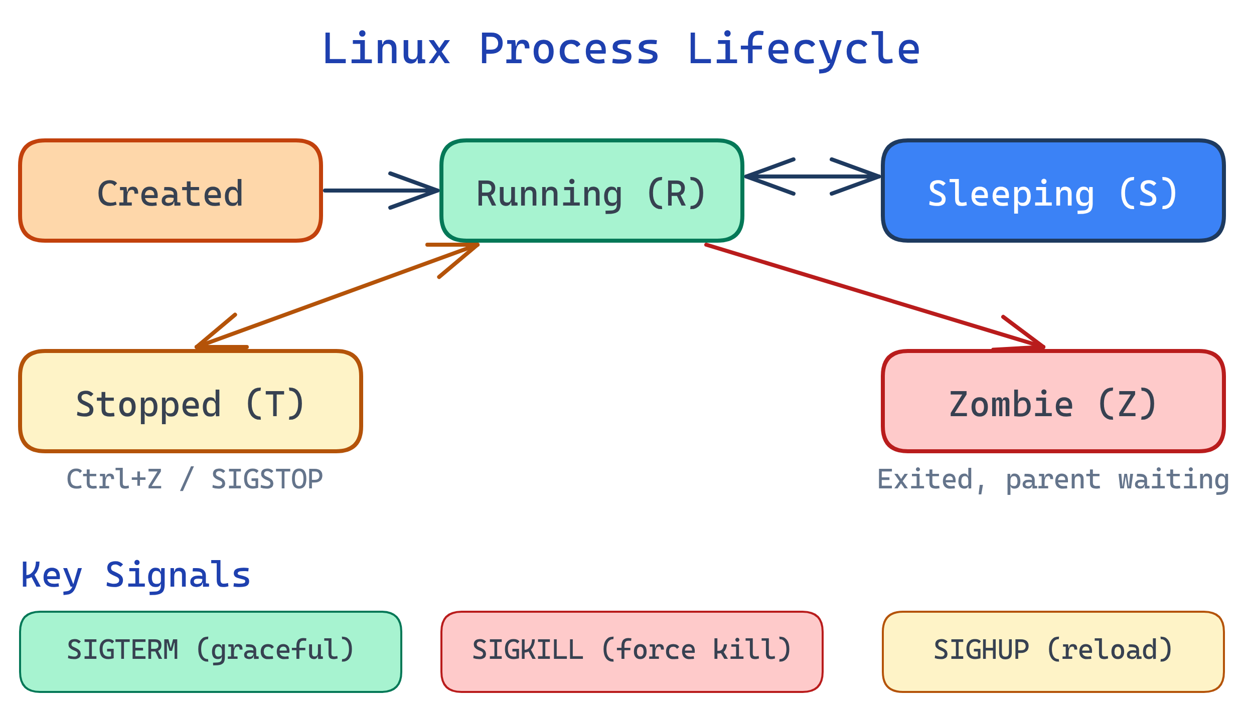 Linux process lifecycle showing states: created, running, sleeping, stopped, zombie, and the signals that transition between them