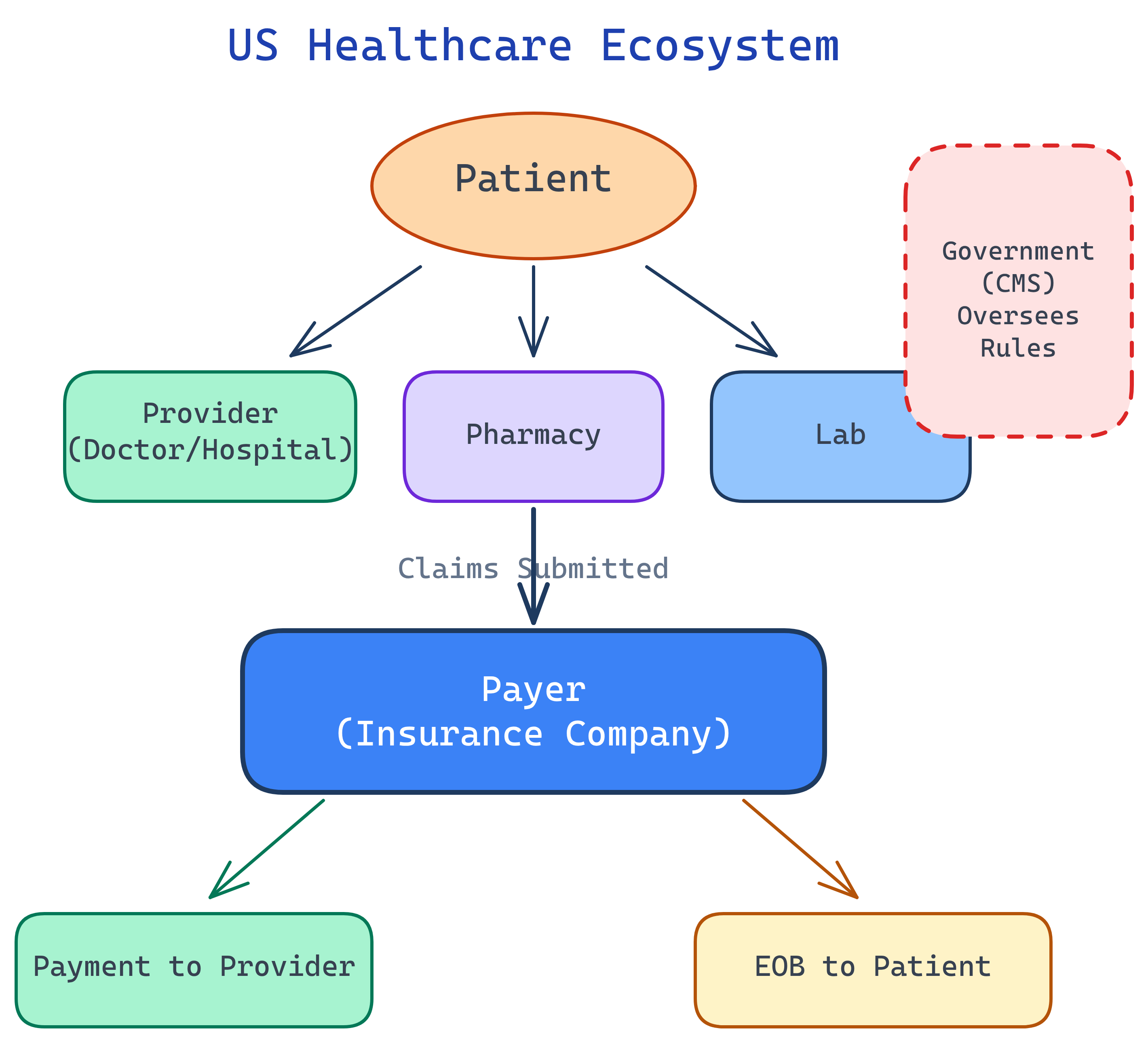 US Healthcare ecosystem showing the flow between patients, providers, payers, and government